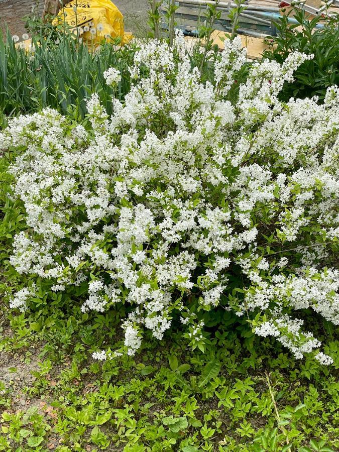 Freiblick 1 Bad Glbg Mit Garten Top1 Bad Gleichenberg Dış mekan fotoğraf